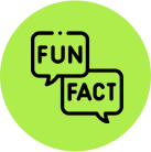 fun fact